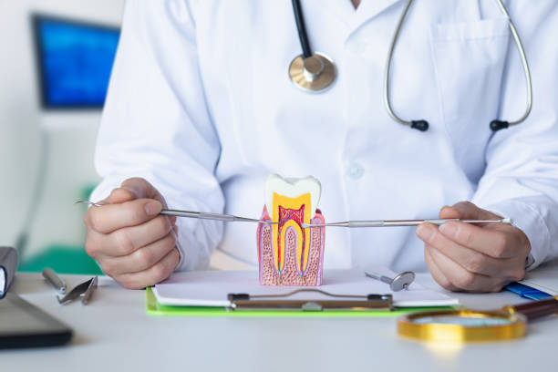 Best Broken or Cracked Tooth Emergency Dentist in Leesburg, FL